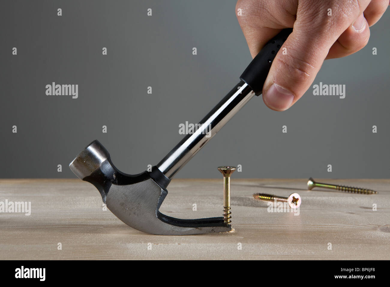 A man using a claw hammer to pull out a nail, detail of hand Stock Photo
