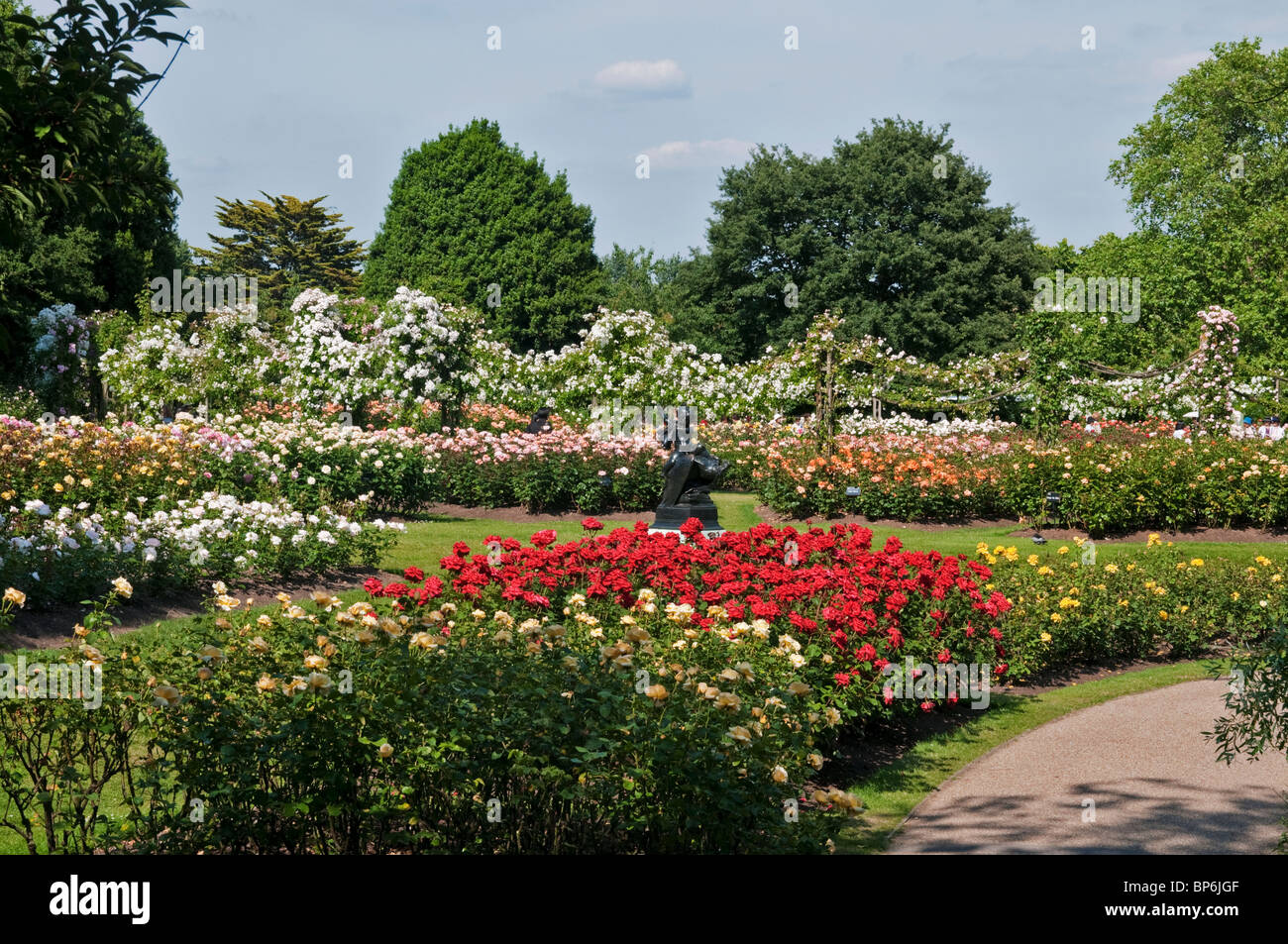 London. Regents Park, Queen Mary's Gardens, Roses. Stock Photo