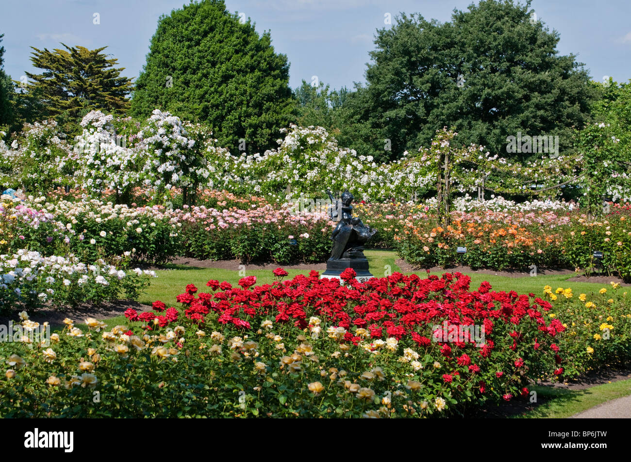 London. Regents Park, Queen Mary's Gardens, Roses. Stock Photo