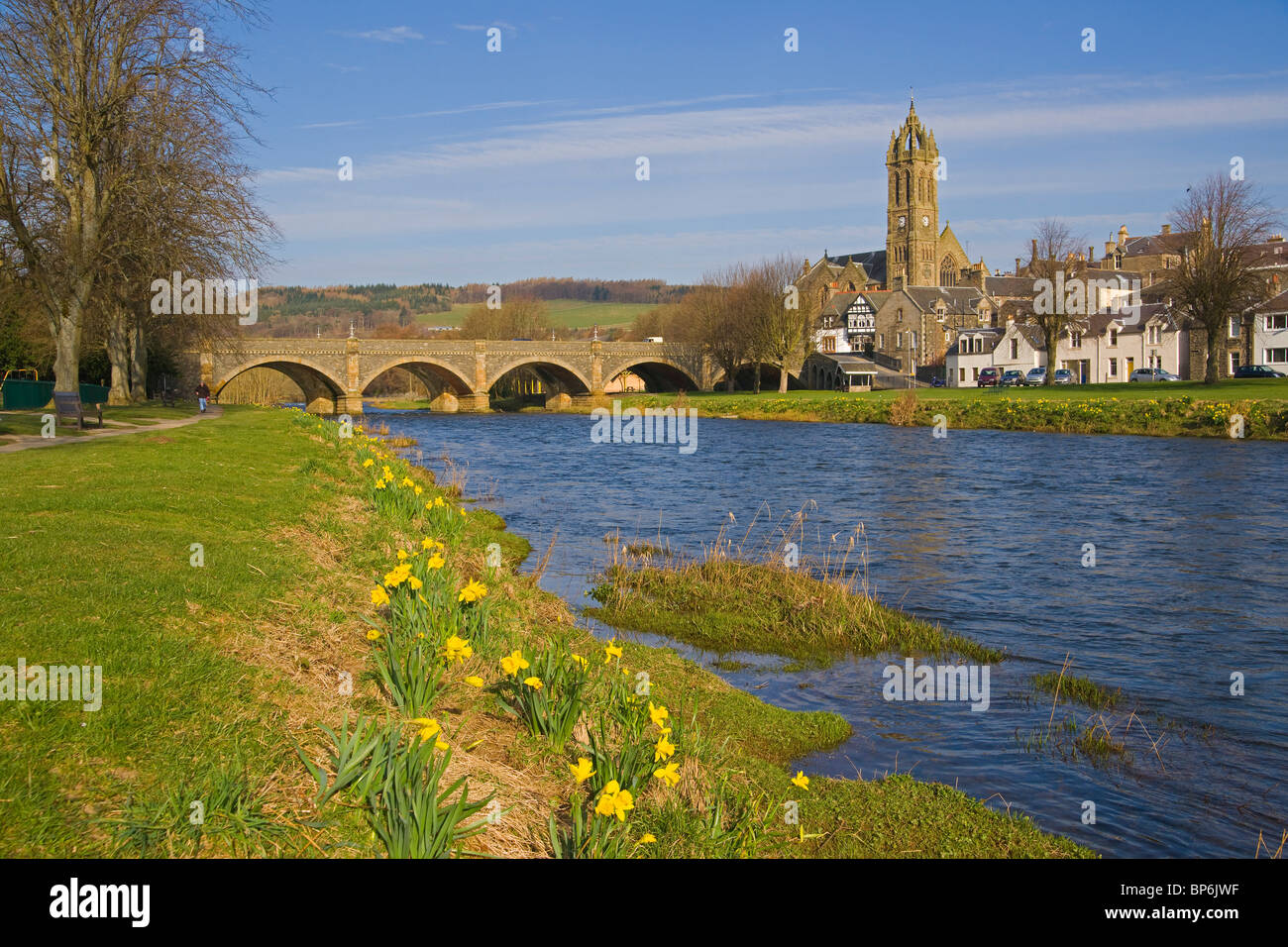 Bridge over the river Tweed at Peebles, Spring, daffodils, Borders Region, Scotland Stock Photo