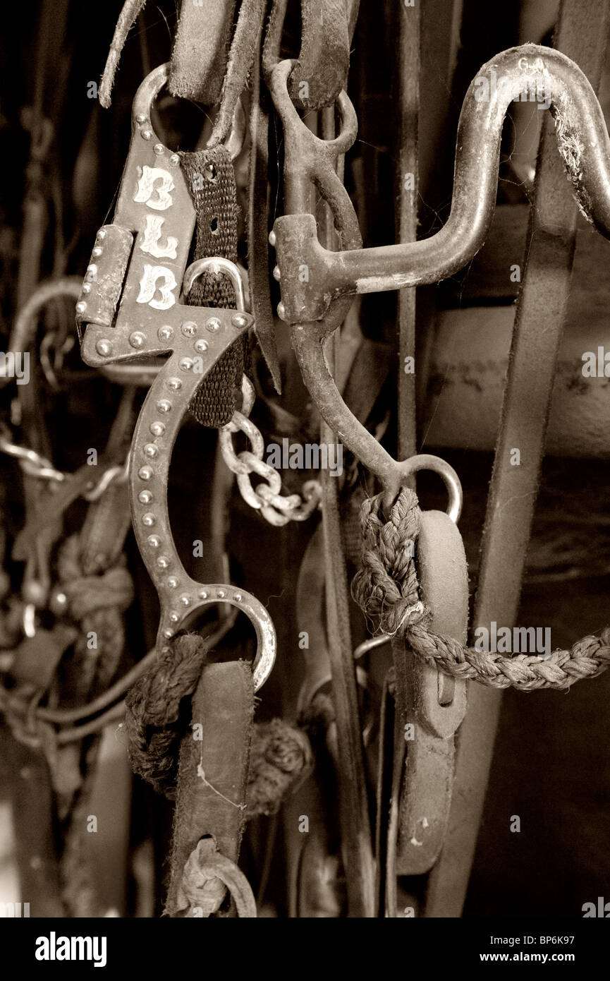 Horse Bridle and Bit Stock Photo Alamy