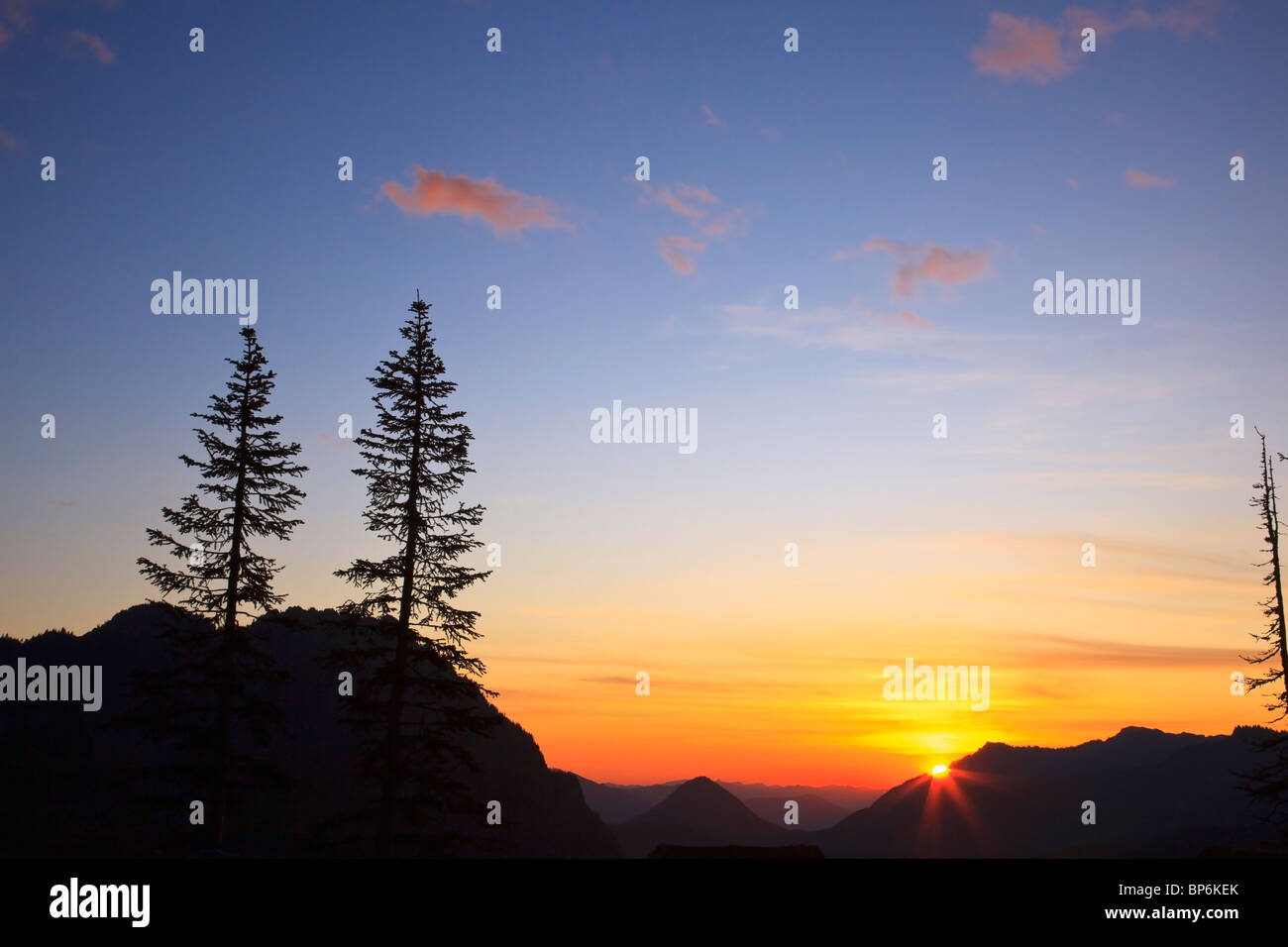 Washington, United States Of America; Sunset In Mt. Rainier National Park Stock Photo