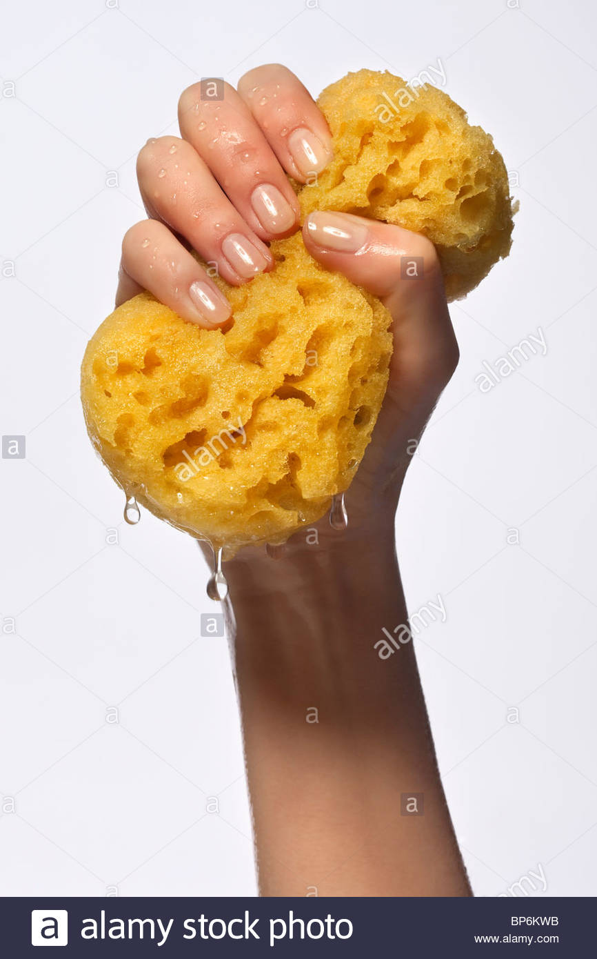 A woman's hand squeezing a yellow sponge Stock Photo 30880119 Alamy