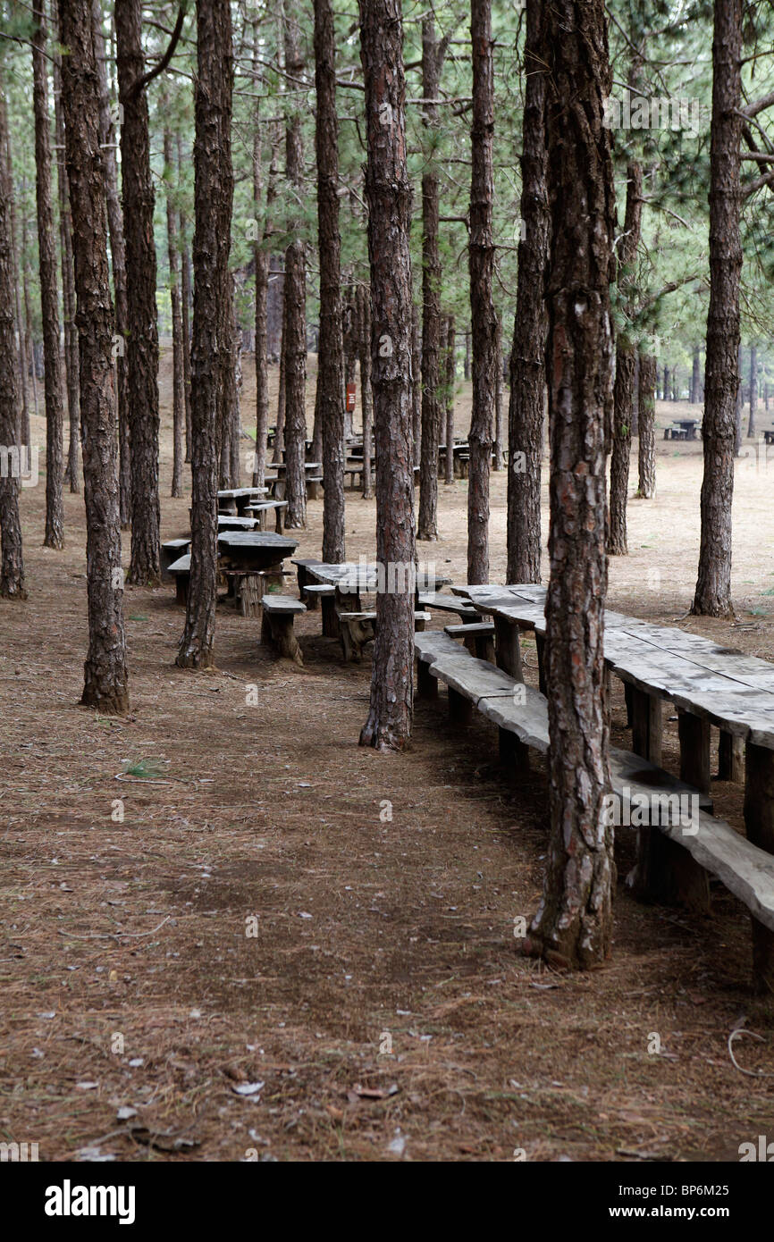 Wooden picnic tables in a forest Stock Photo - Alamy
