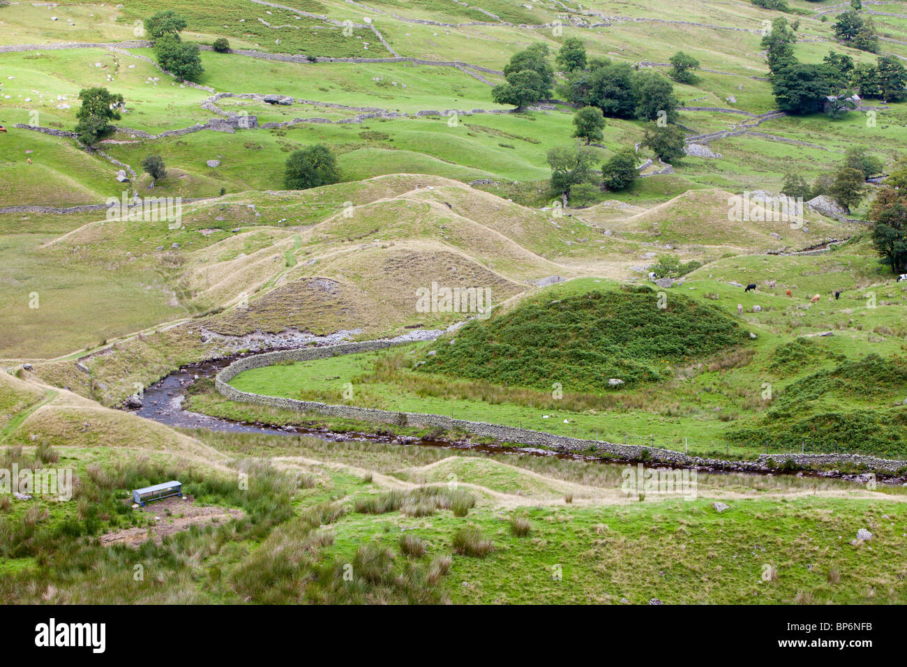 Drumlins in Swindale in the North East Lake District, Cumbria, UK Stock