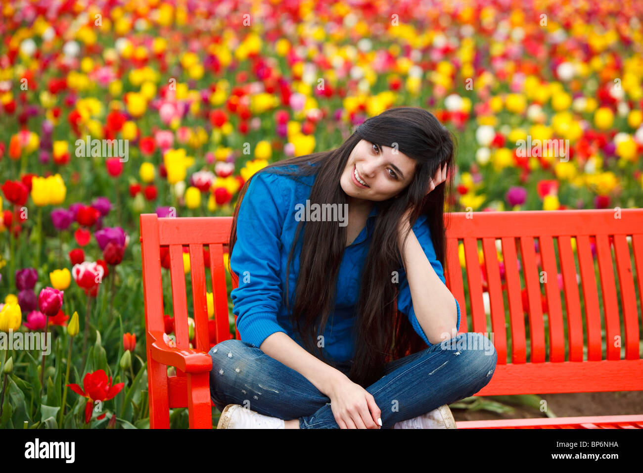 Woodburn, Oregon, United States Of America; A Teenage Girl Sits On A  Bench In Front Of A Tulip Field At Wooden Shoe Tulip Farm Stock Photo