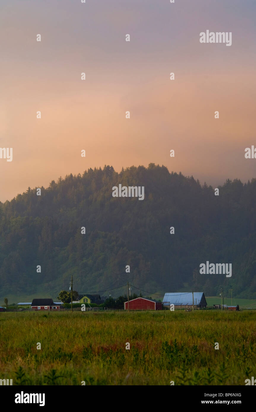 Morning light over rural farm pasture land near Ferndale, Humboldt County, California Stock Photo