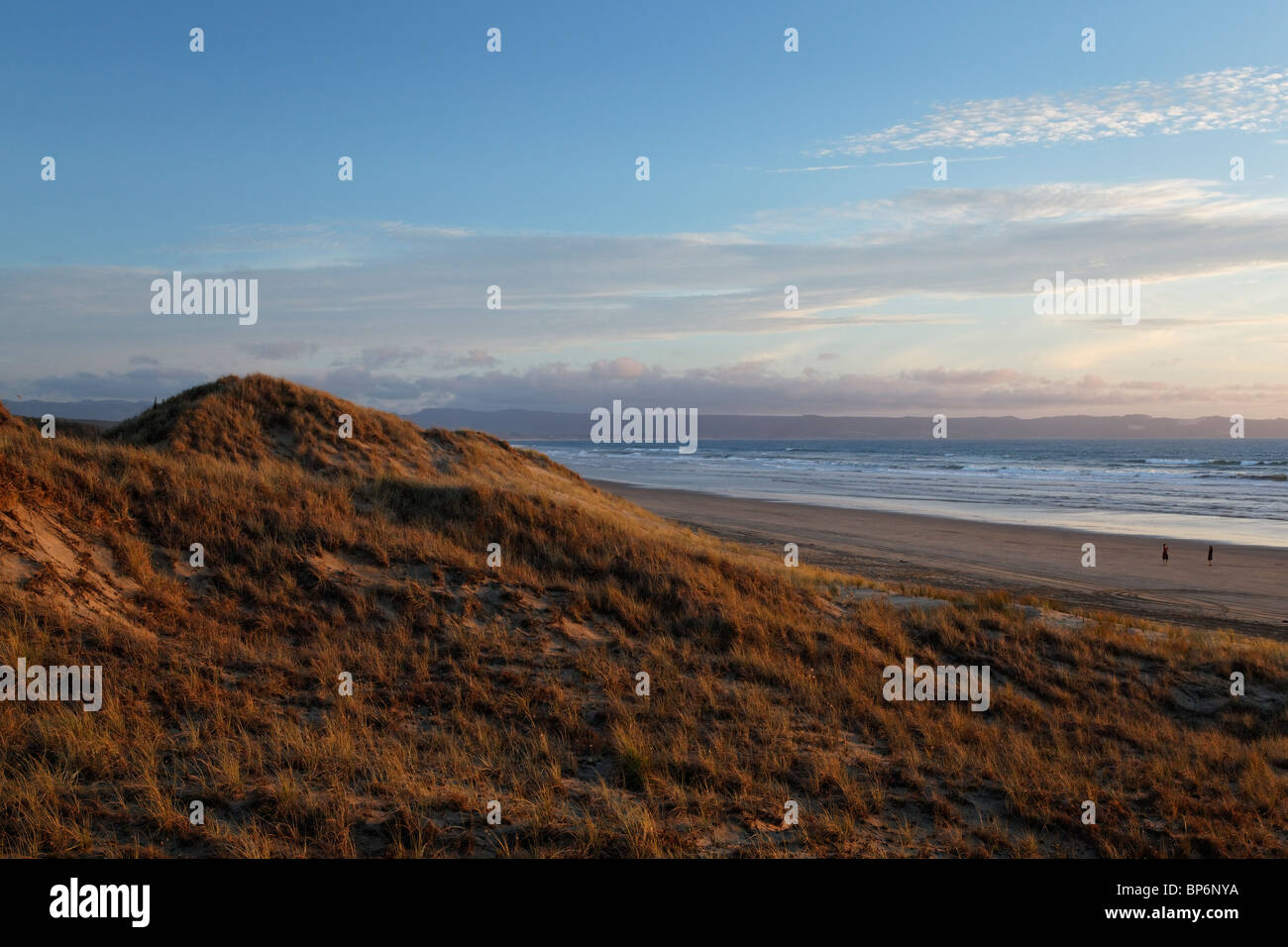 View at sunset of Niethy Mile Beach, New Zealand Stock Photo