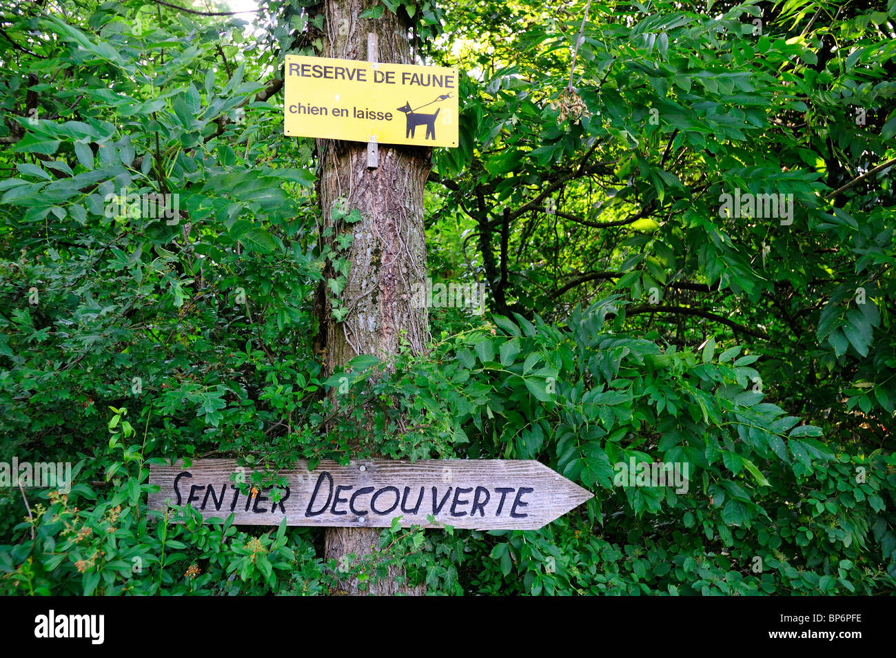 Nature trail signs. Signboards on a French nature trail Stock Photo