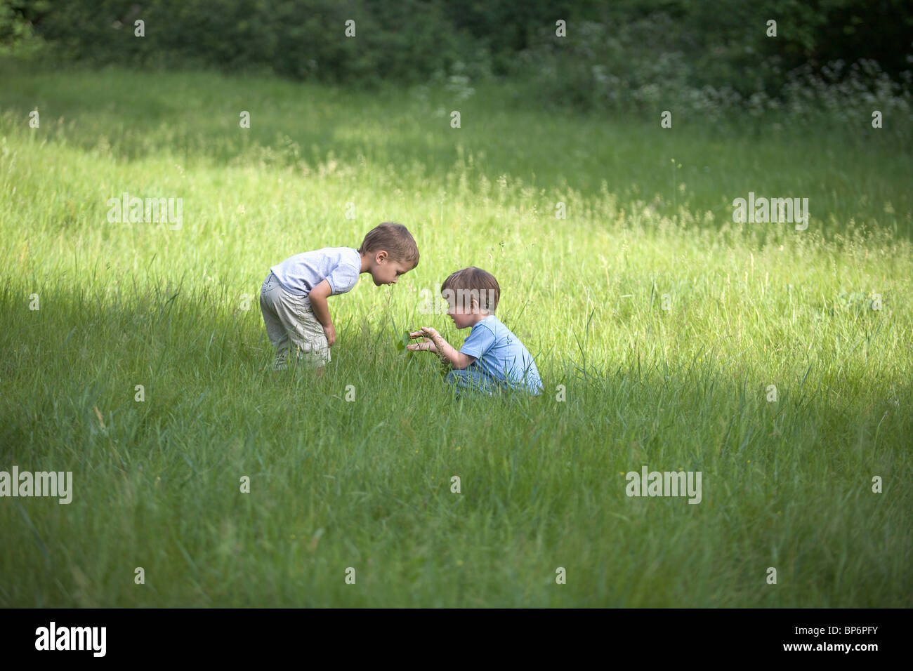 Two young boys in a field Stock Photo