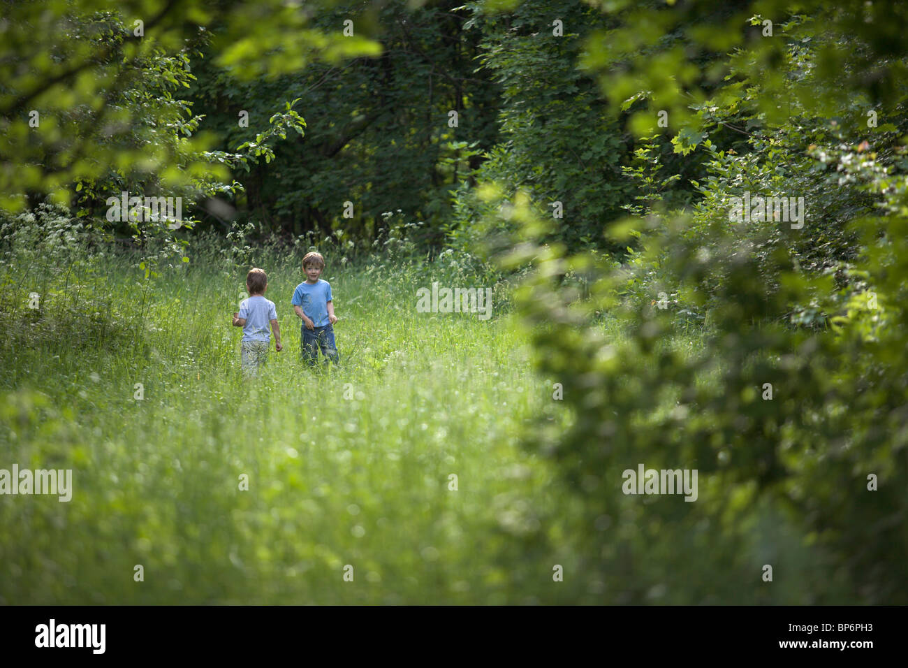 Two young boys outdoors in summer Stock Photo