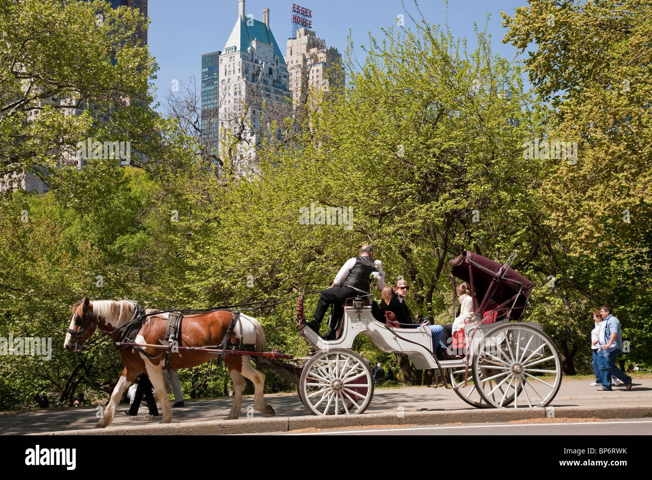 Horse and Carriage, Central Park,NYC Stock Photo Alamy