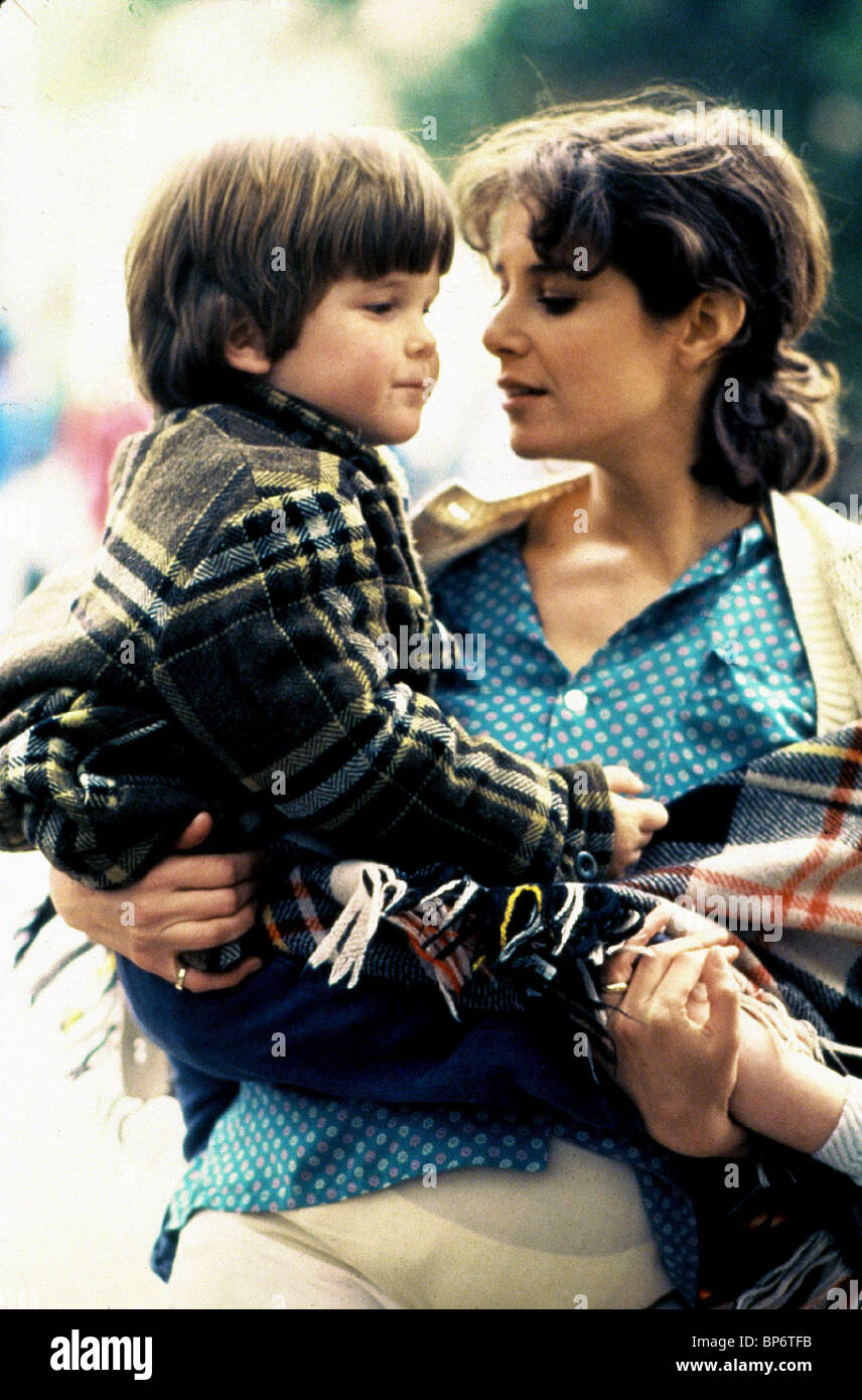 Huckleberry Fox High Resolution Stock Photography and Images - Alamy