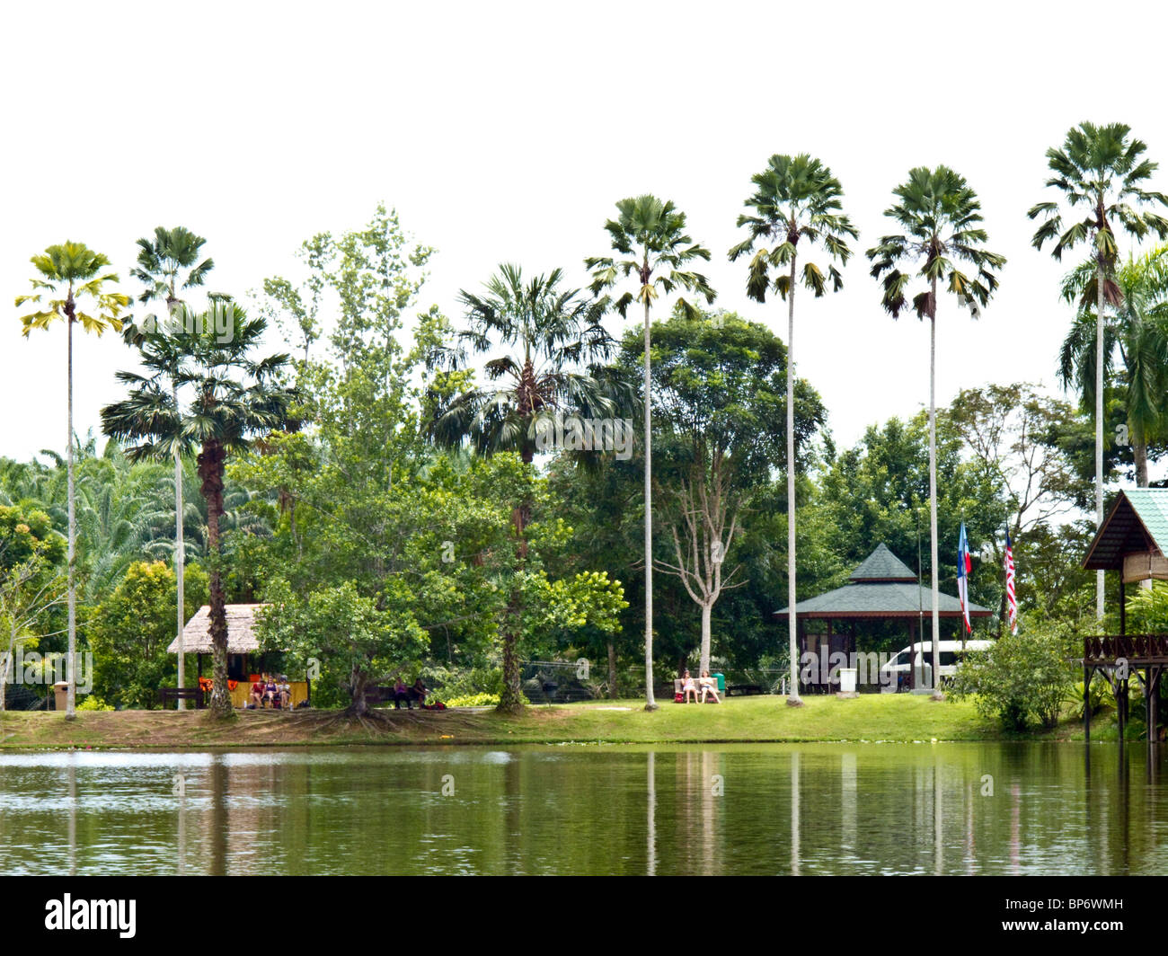 The Rainforest Discovery Centre Sandakan Sabah Borneo Malaysia Stock Photo