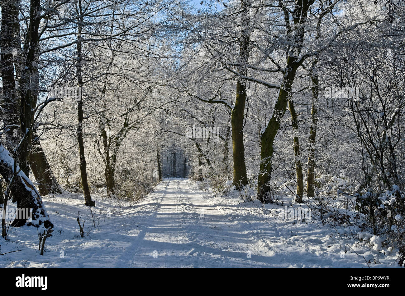 Countryside in winter hi-res stock photography and images - Alamy