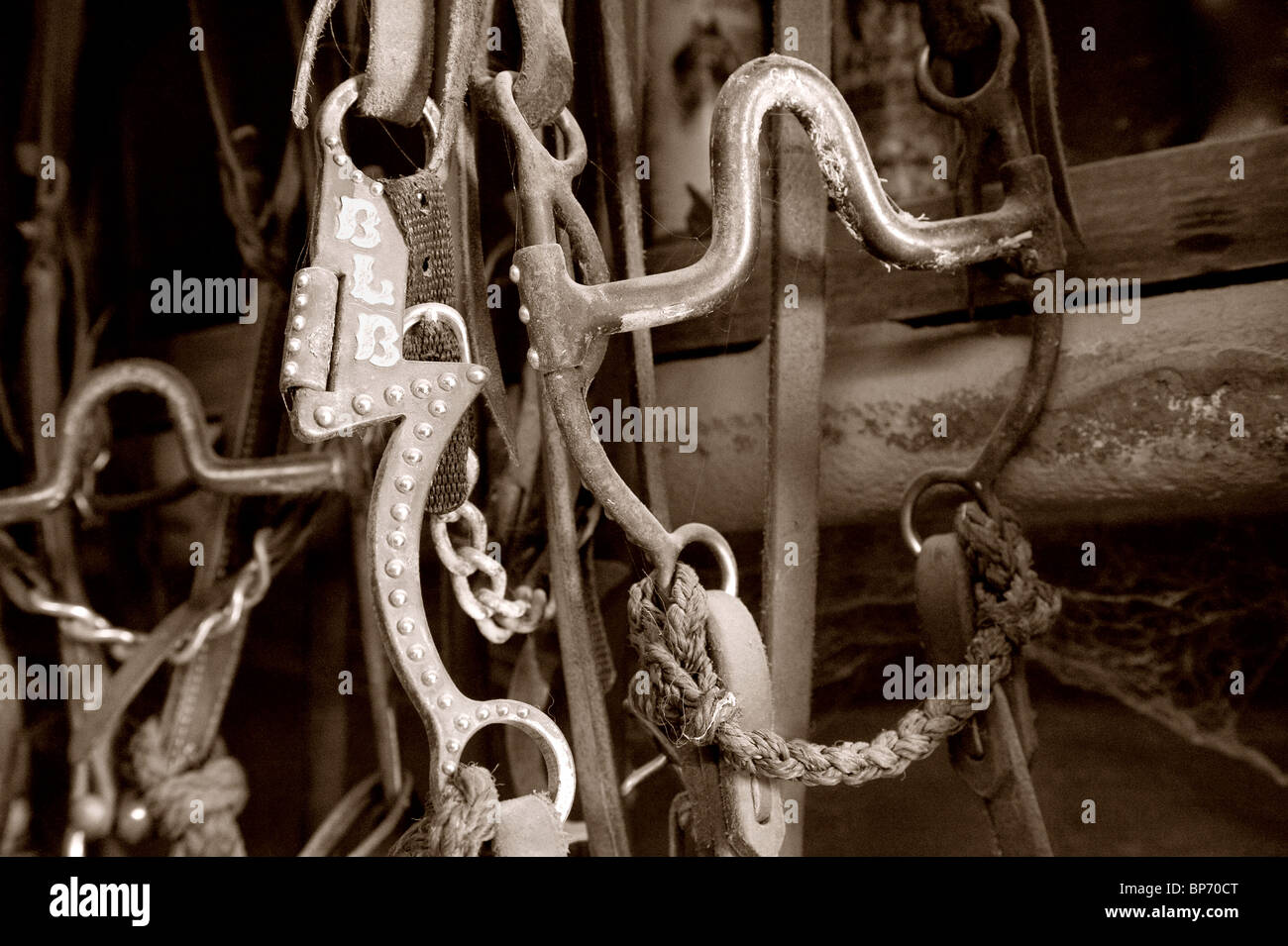Horse Bridle and Bit Stock Photo Alamy