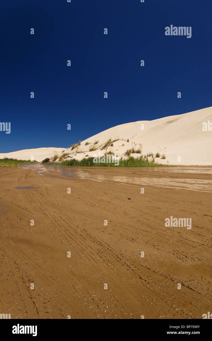 The Te Paki steam and sand dunes in the New Zealand Northland. Stock Photo