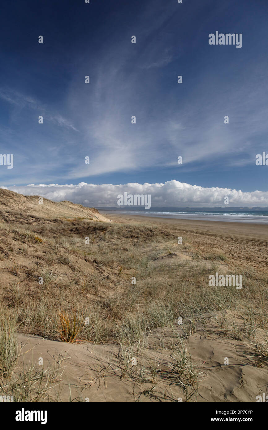 A view looking south along Ninety Mile Beach, New Zealand Stock Photo