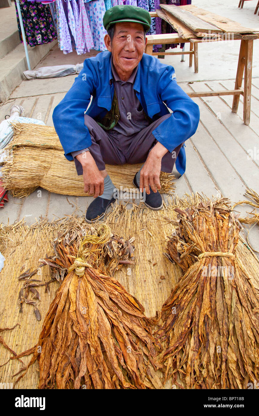 yunnan tobacco Tobacco yunnan china hi-res stock photography and images