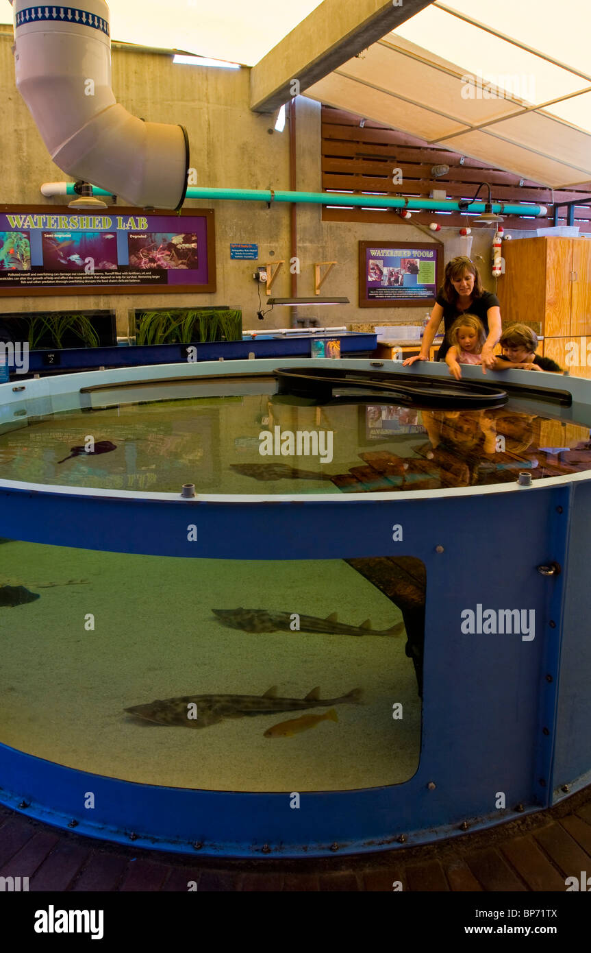 Marine Exhibits at The Ocean Institute at Dana Point Harbor, Dana Point