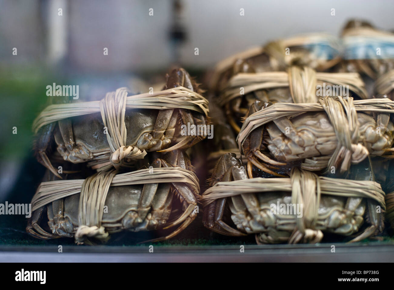 The Chinese mitten crab is a famous delicacy in Shanghai and Hong Kong cuisine and is prized for the female crab roe. Stock Photo