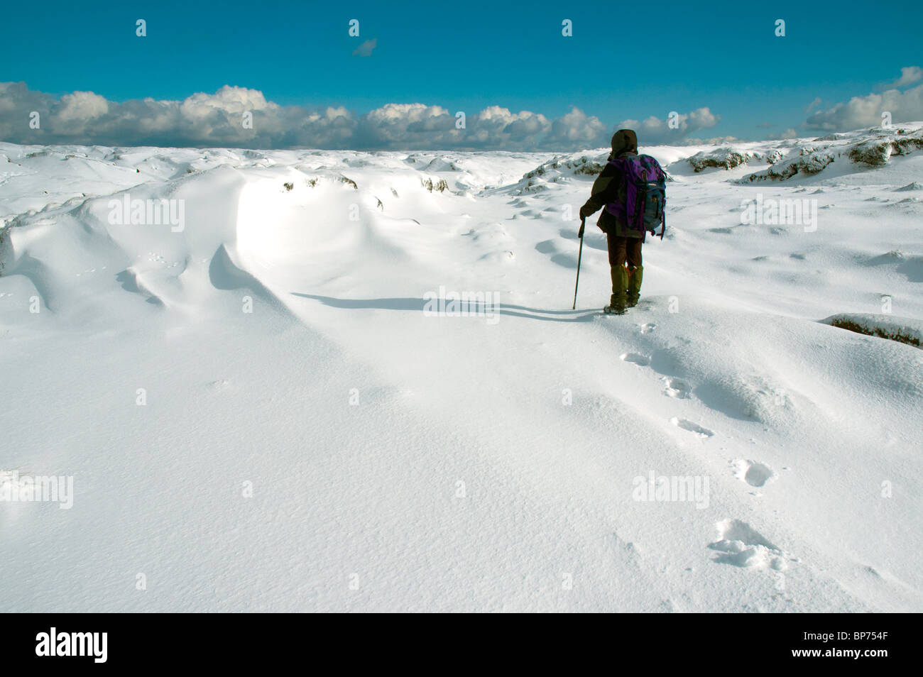 A walker on the frozen Kinder Scout plateau in winter, near Hayfield, Peak District, Derbyshire, England, UK Stock Photo