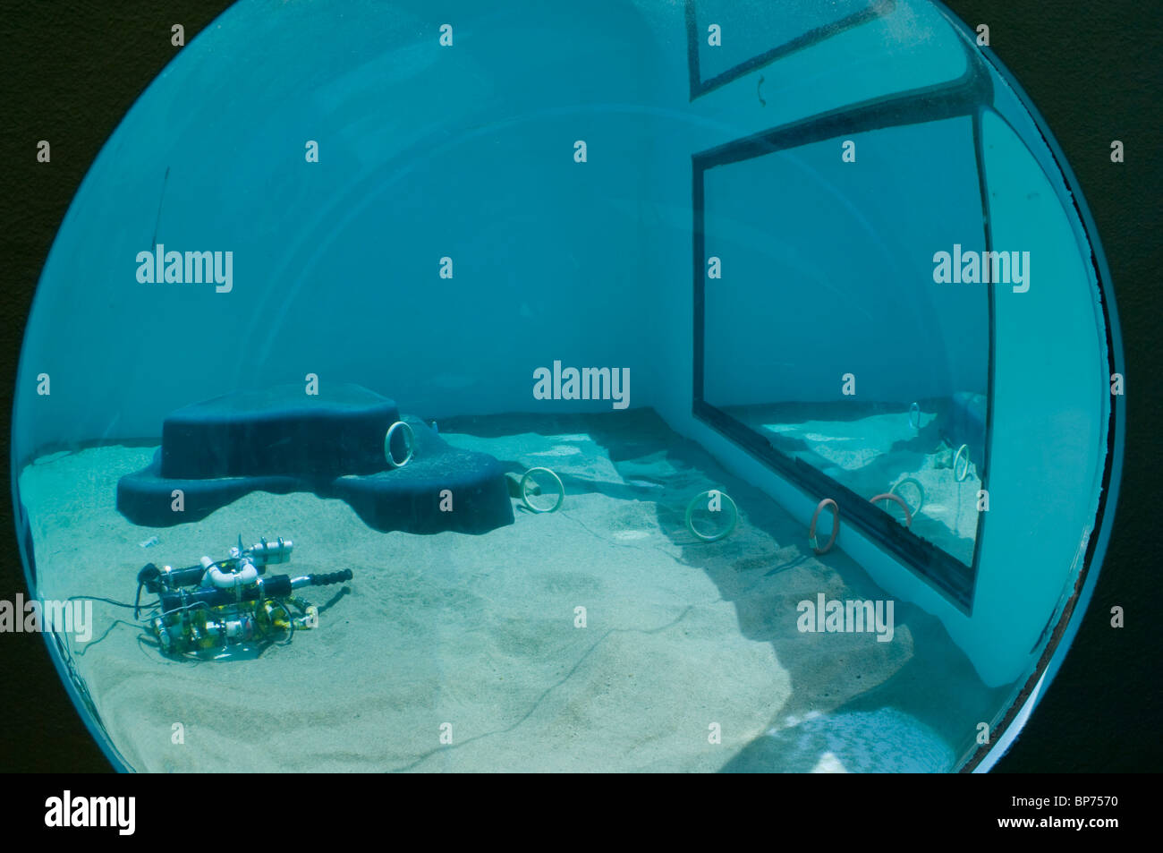 Marine Exhibits at The Ocean Institute at Dana Point Harbor, Dana Point