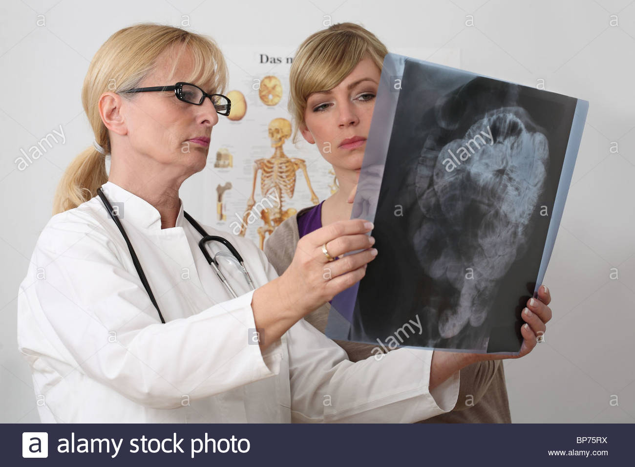 Innere Organe Stock Photos & Innere Organe Stock Images ...