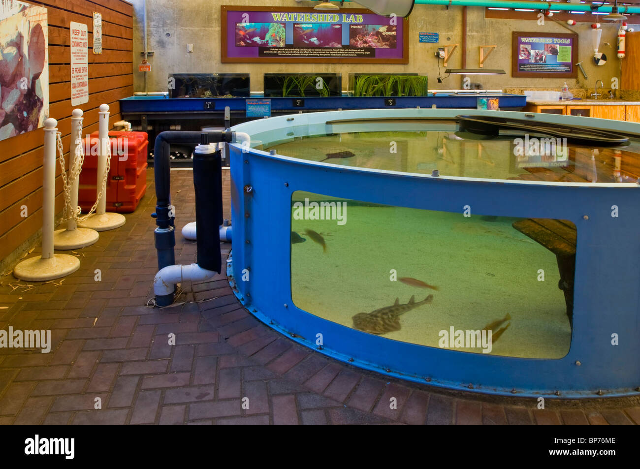 Marine Exhibits at The Ocean Institute at Dana Point Harbor, Dana Point