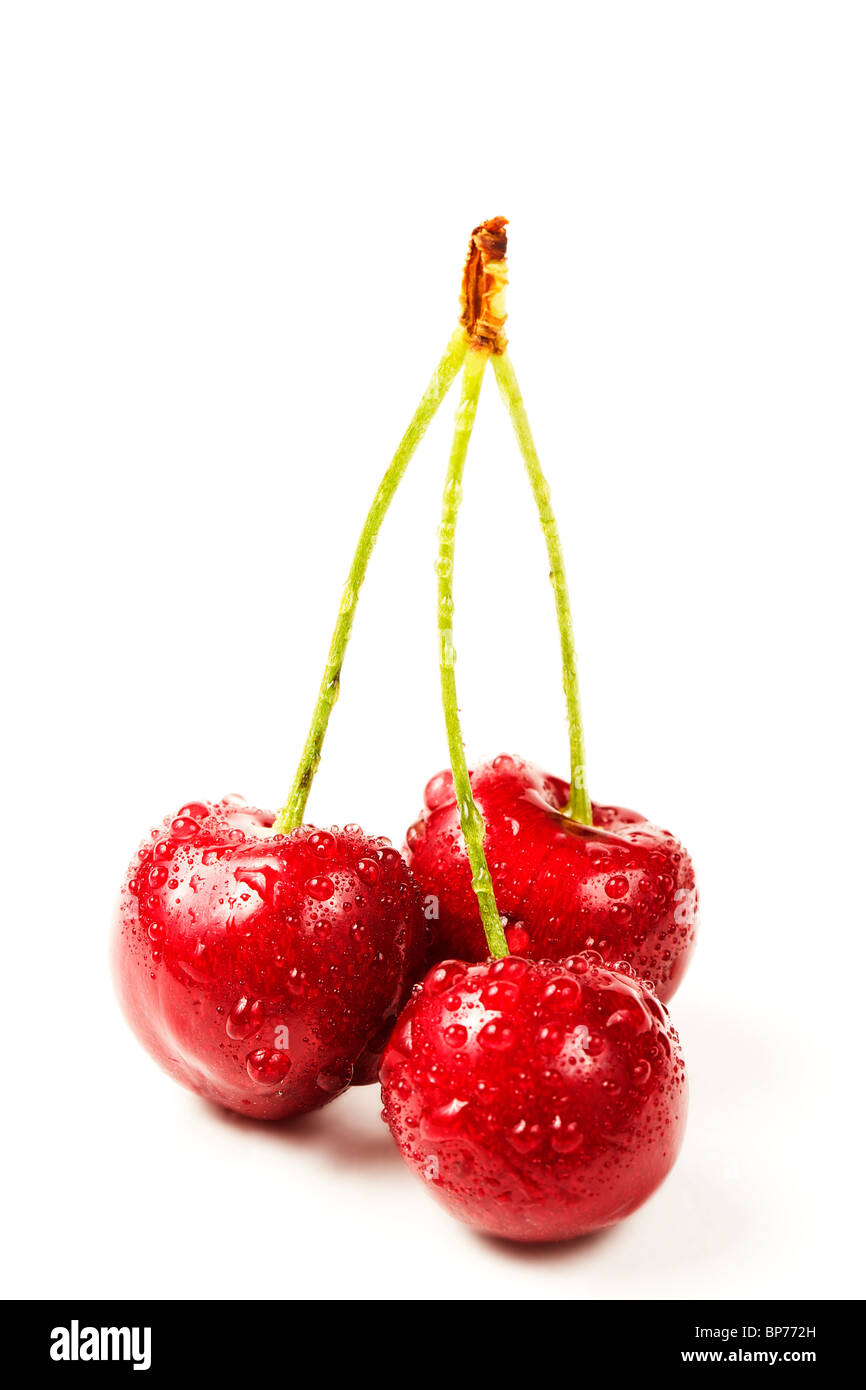 three wet cherries on white background Stock Photo