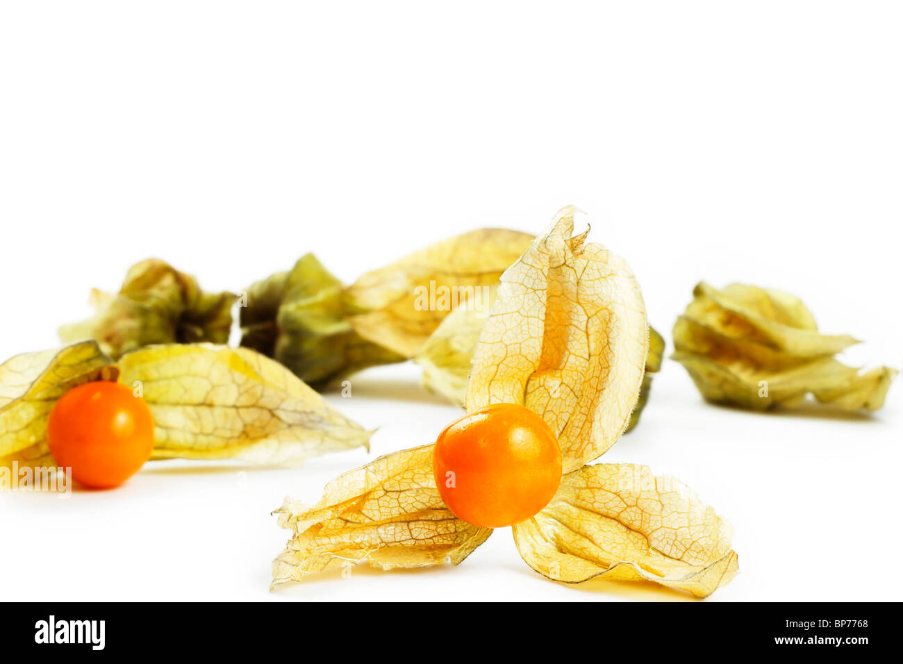 one physalis in front of other physalis on white background Stock Photo