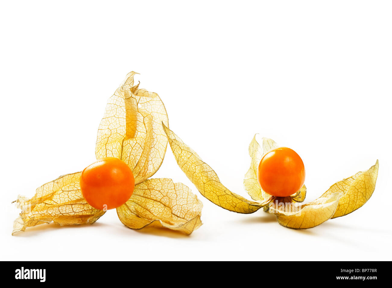 two physalis on white background Stock Photo