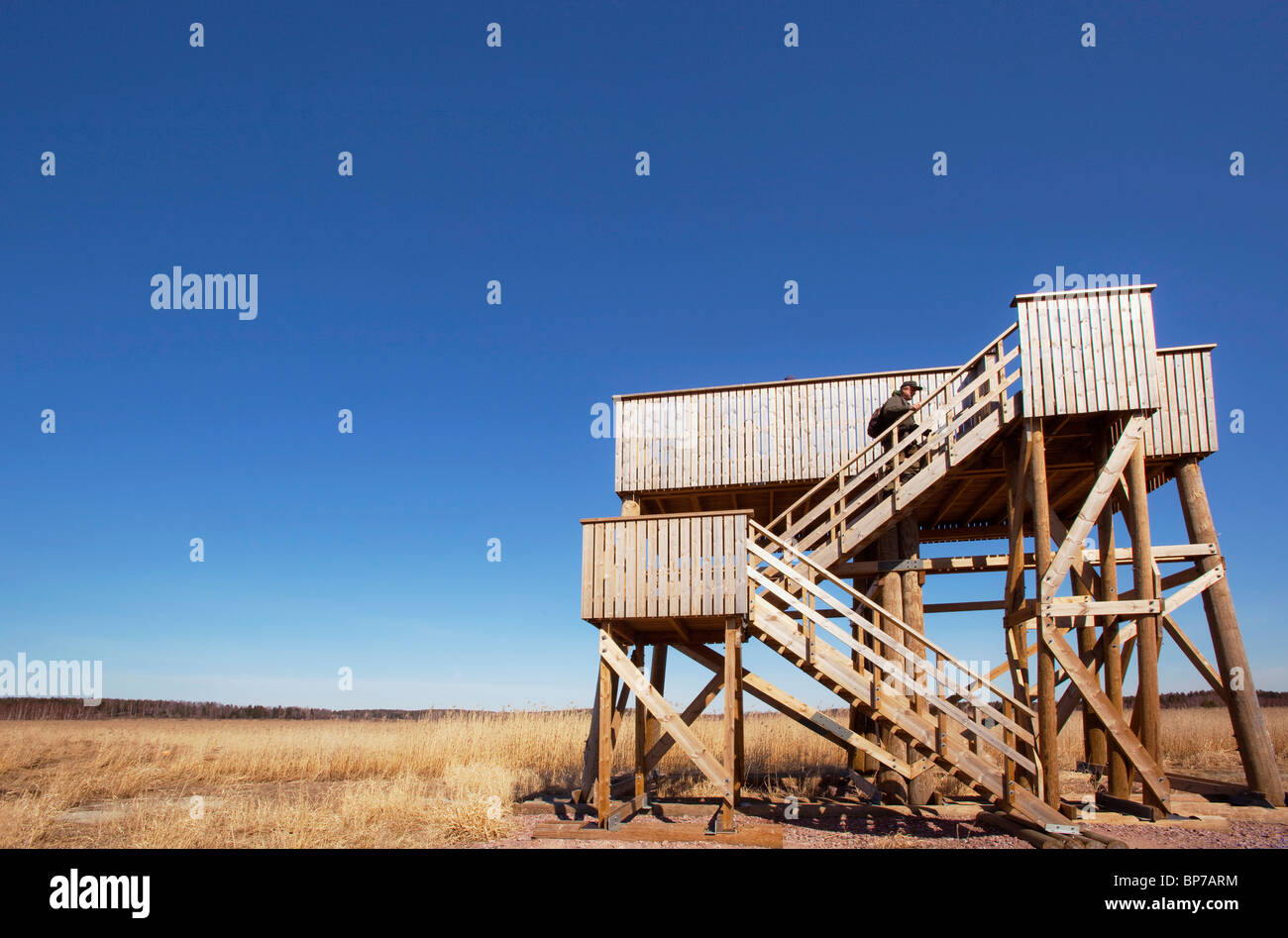 Bird tower in Kirkkonummi, Finland Stock Photo