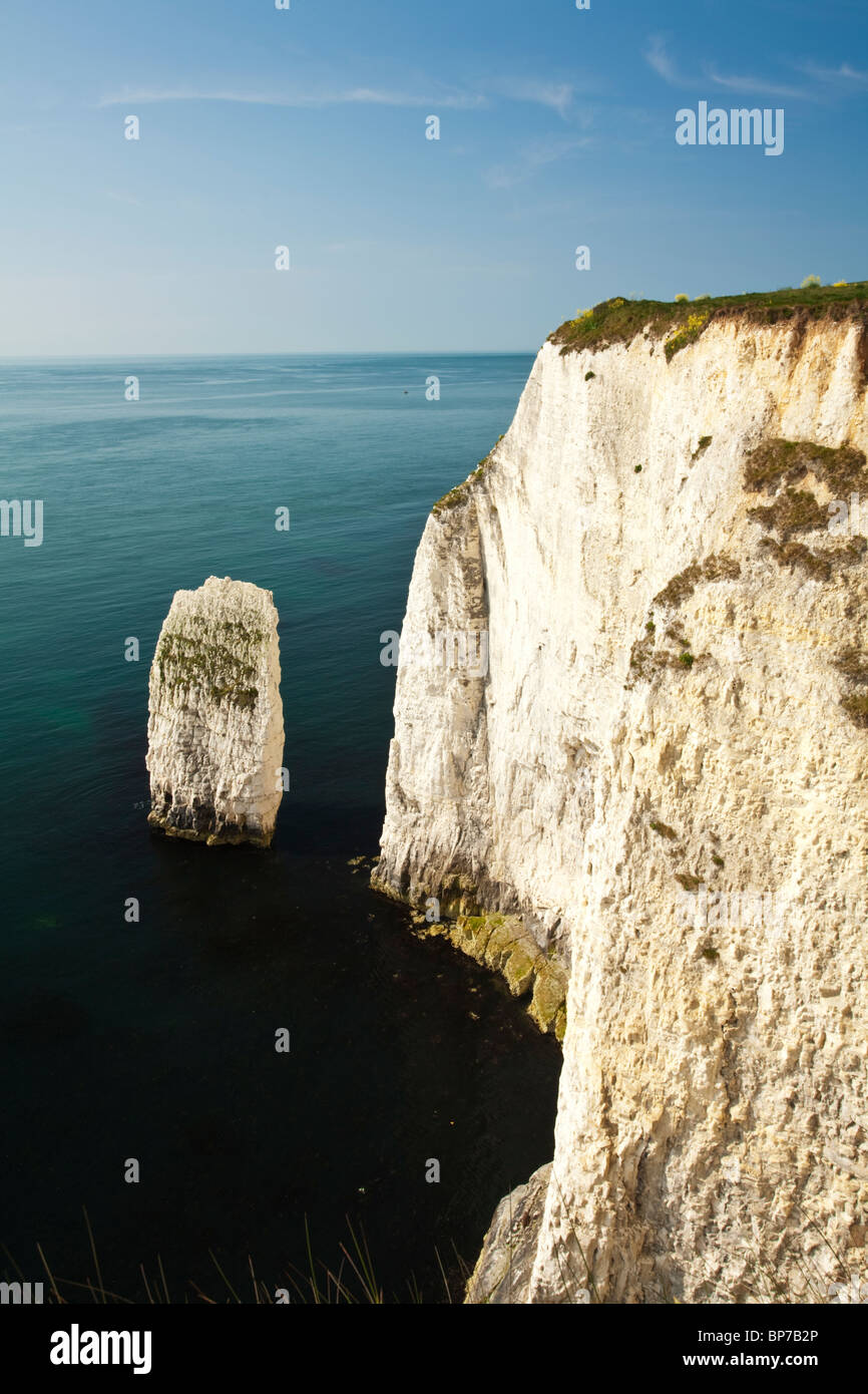 Rock stacks and chalk cliffs on Dorset's coast close to Old Harry Rocks