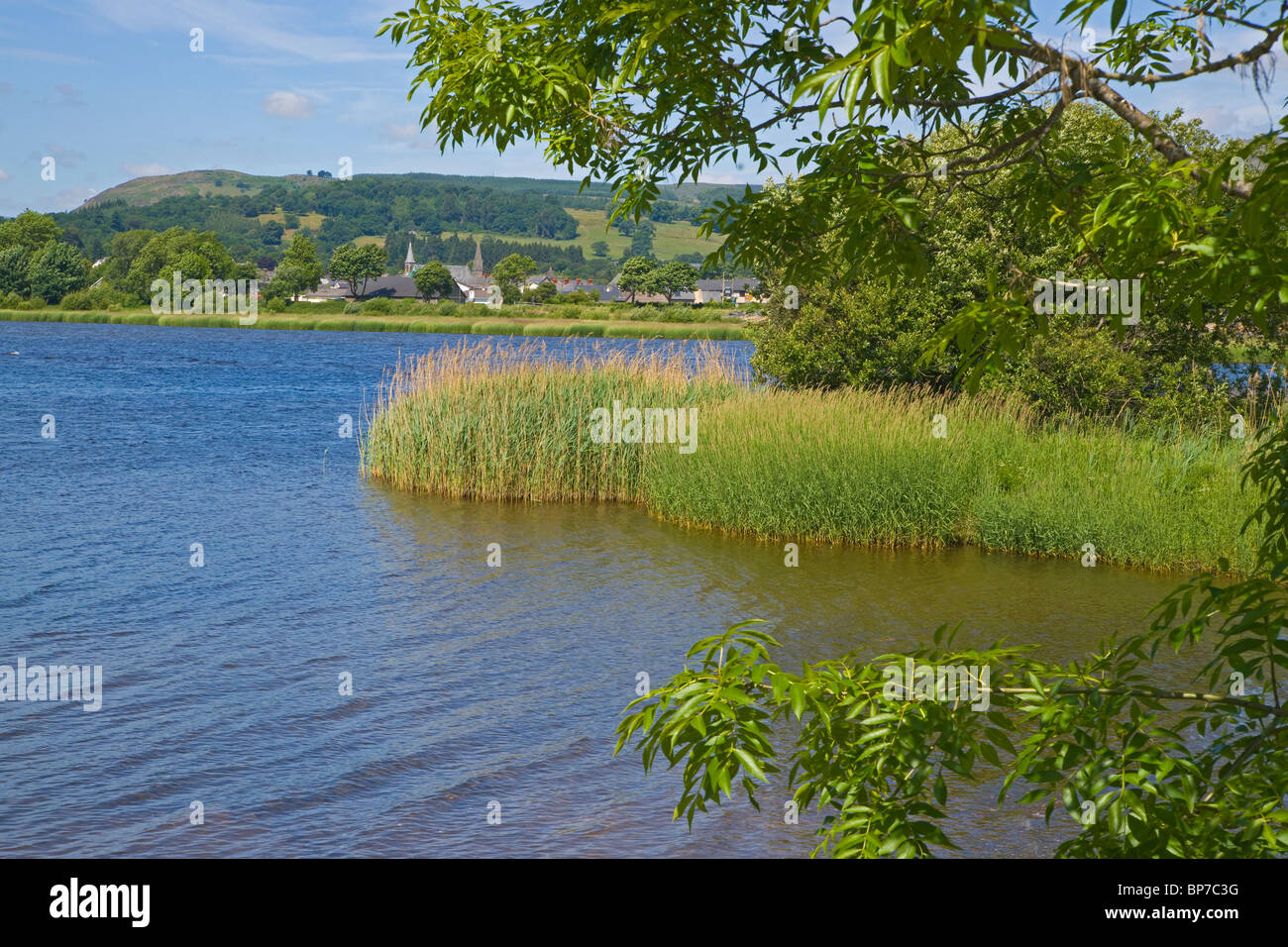 Lake Bala, Gwynedd, Snowdonia, north Wales, UK Stock Photo Alamy