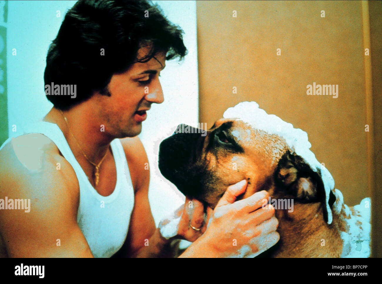 Sylvester Stallone Butkus Stallone Rocky Ii 1979 Stock Photo Alamy