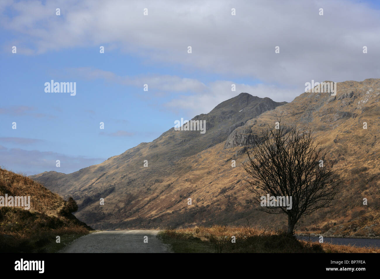 Looking towards the Corbett Beinn Odhar Bheag from the shores of Loch Shiel. Stock Photo