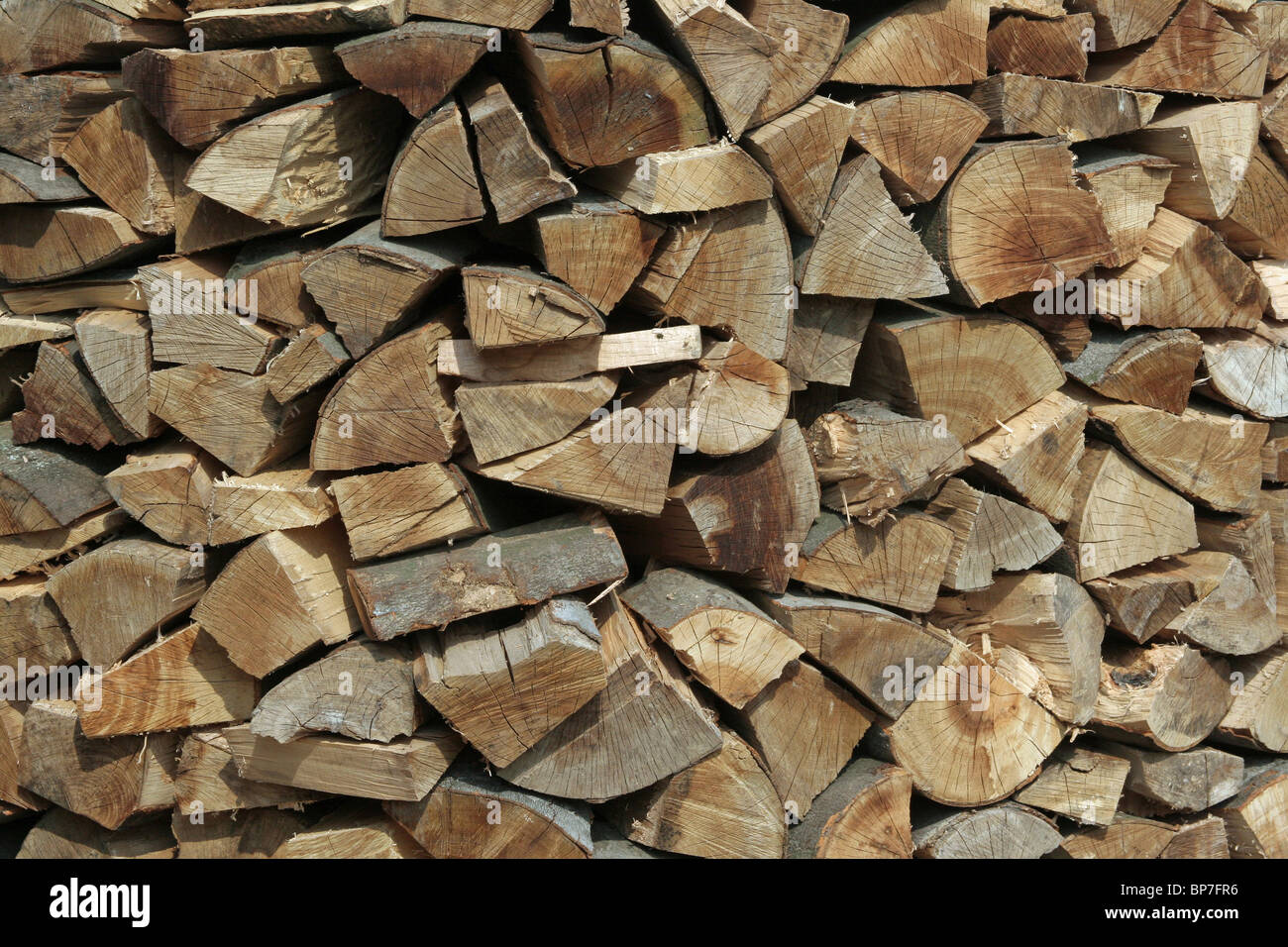 Chopped beech wood for sale. Stock Photo