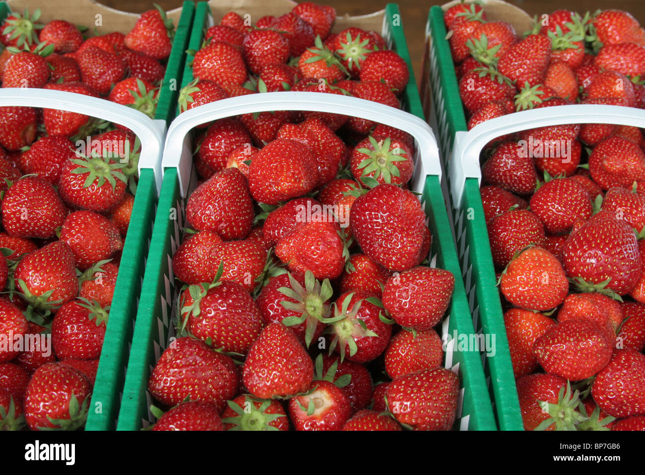 Strawberry (Fragaria x ananassa). Ripe fruit in baskets offered for sale. Stock Photo