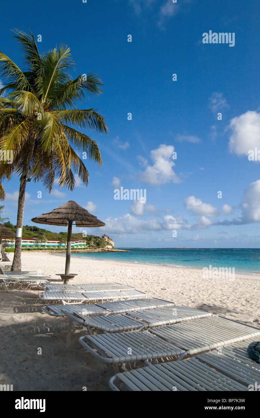 Palm tree caribbean sea hi-res stock photography and images - Alamy