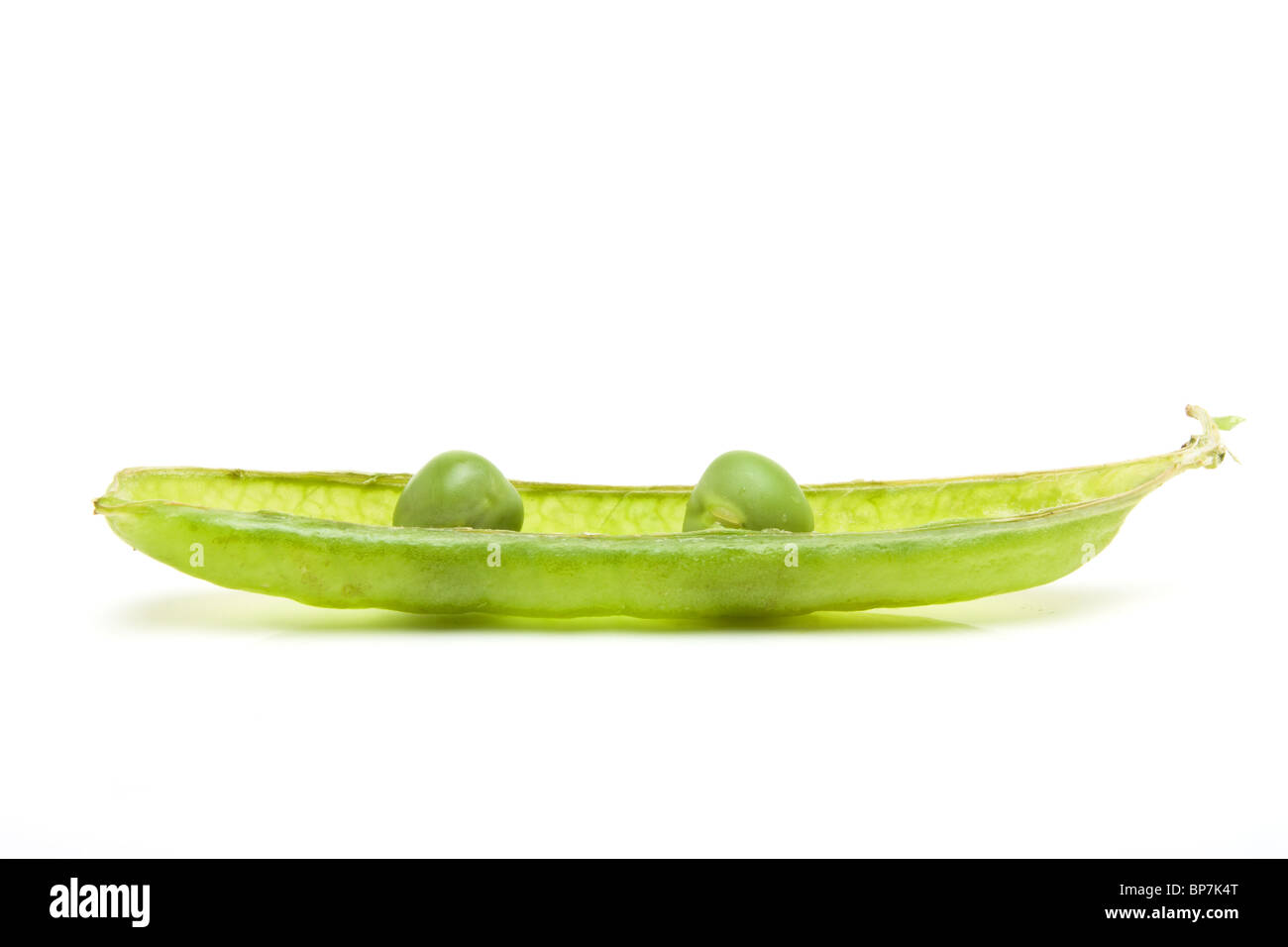 Two peas in a pod conceptual image. Stock Photo
