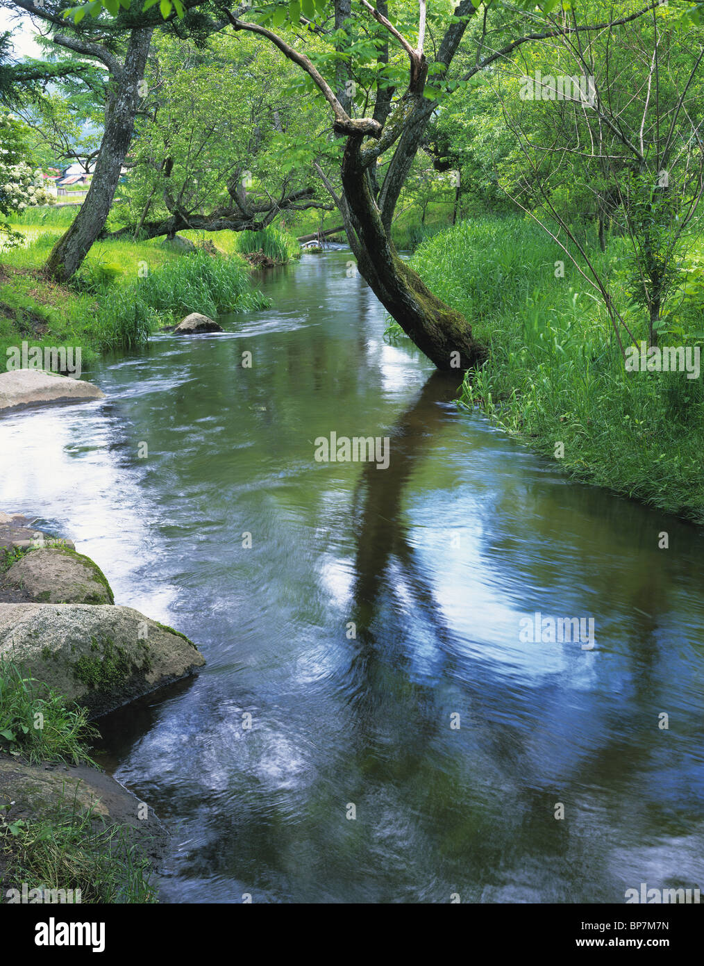 The Tono Kappa Deep Pool, Iwate Prefecture, Japan Stock Photo - Alamy