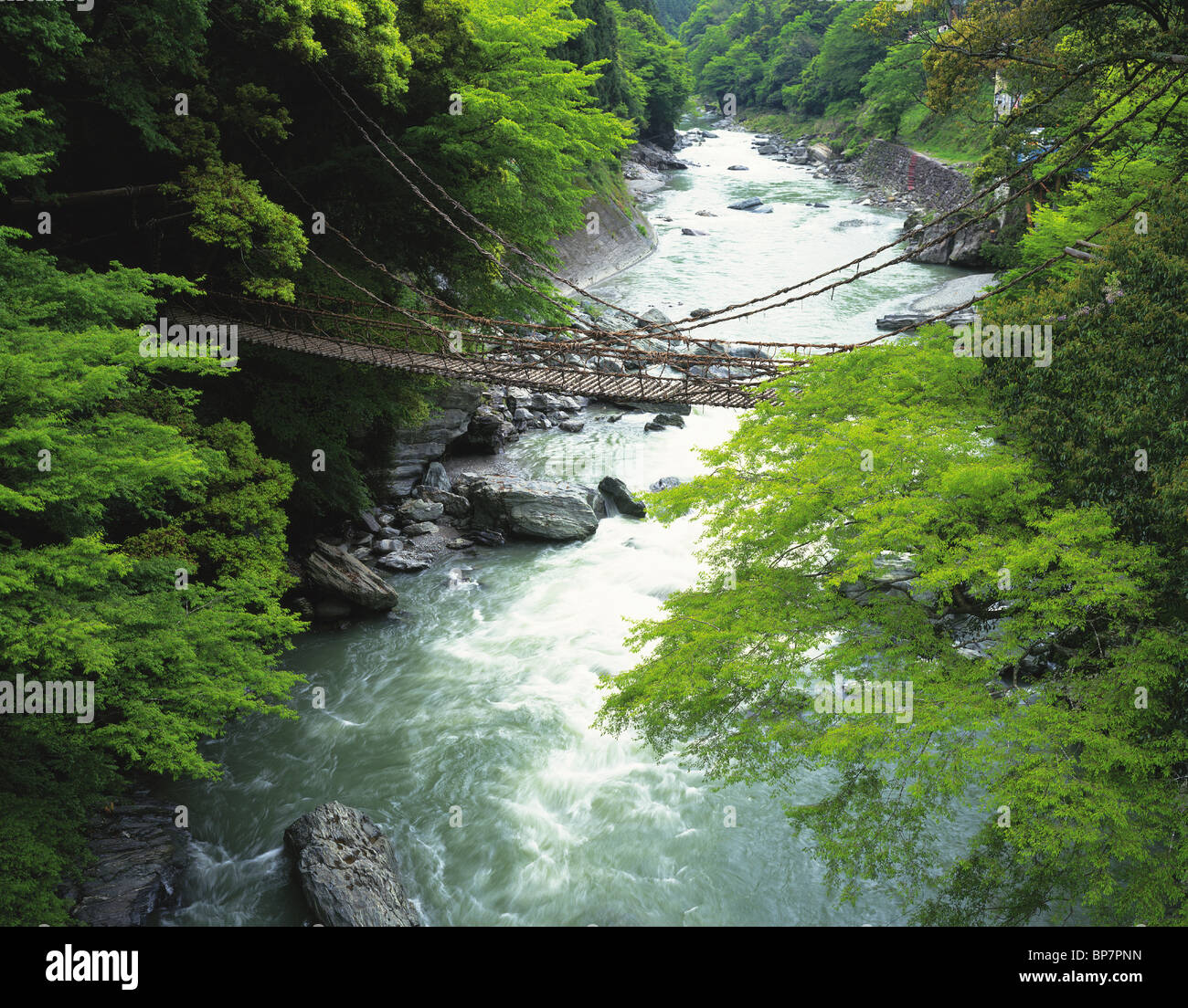 A Vine Bridge in Iya Valley, Miyoshi, Tokushima Prefecture, Japan Stock ...