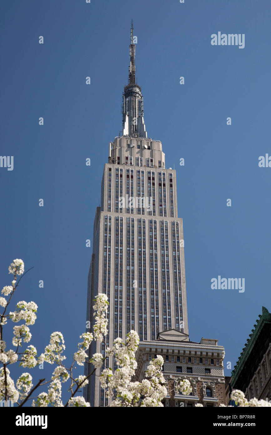 Empire State building and Spring Blossoms, NYC Stock Photo - Alamy