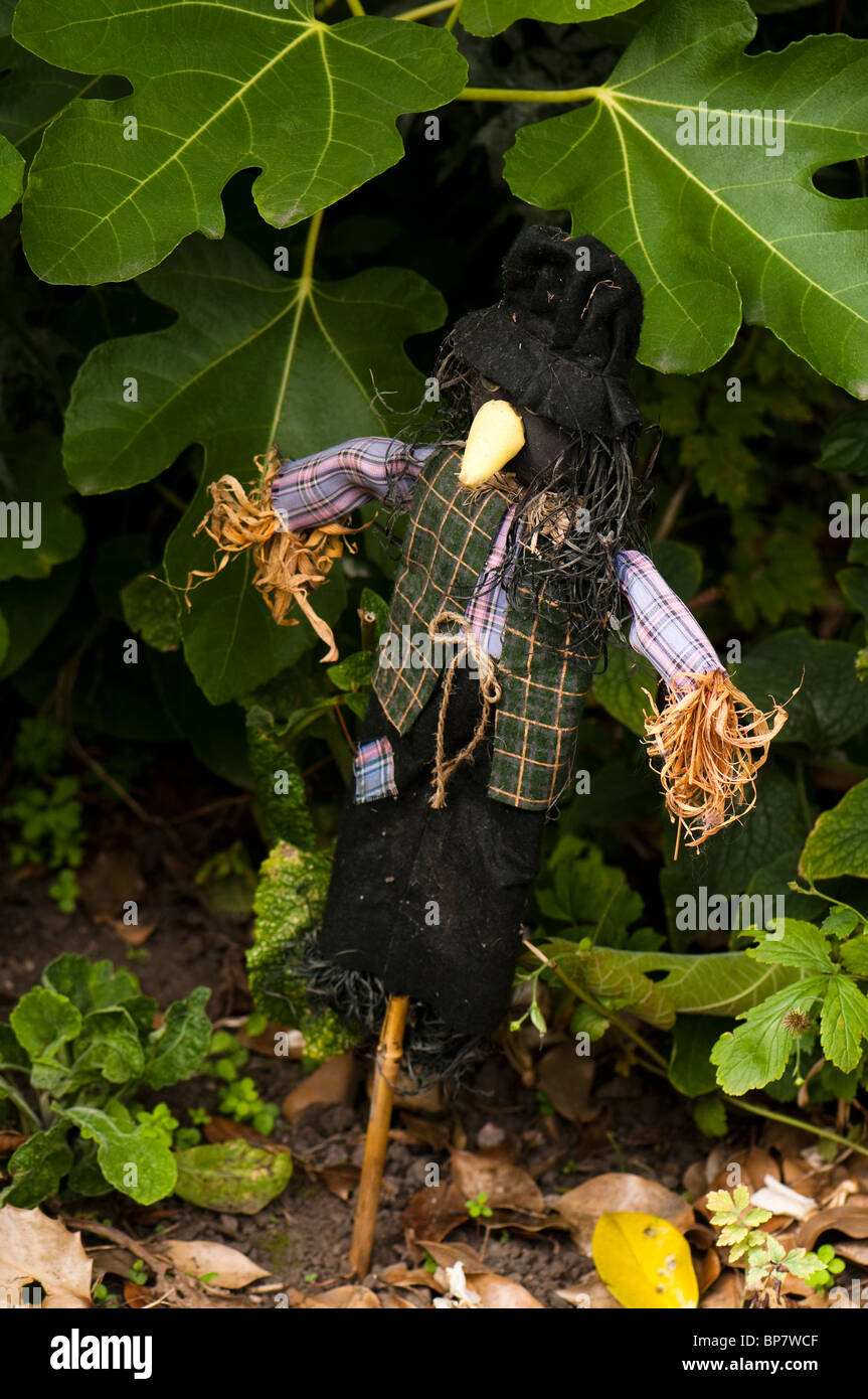 Small crow scarecrow at Hill Close Gardens in Warwickshire Stock Photo
