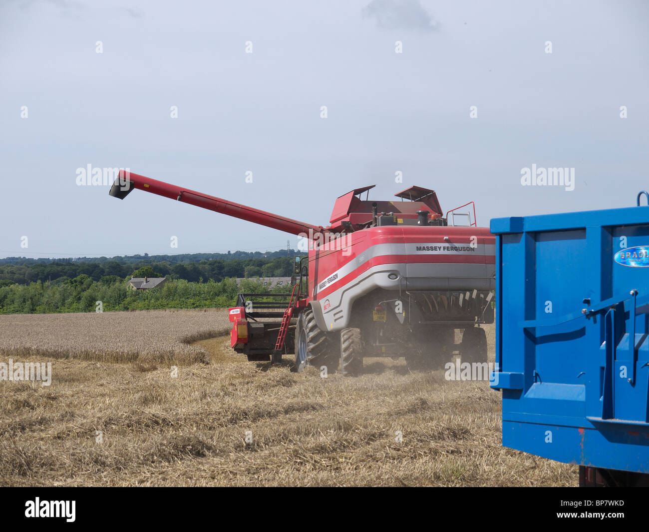 Combine Harvester working on wheat field, Lancashire, England,UK Stock