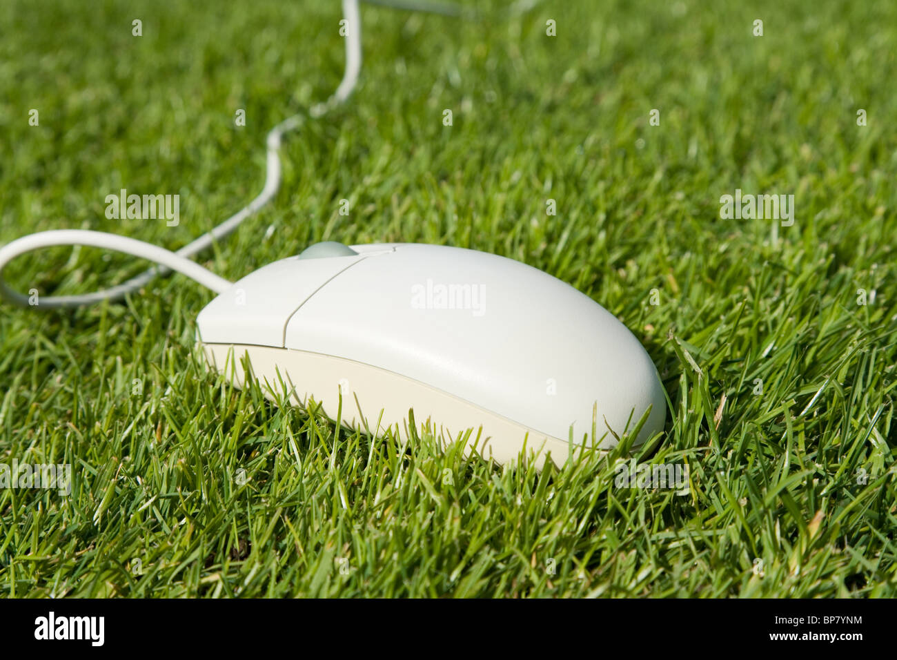 Computer Mouse and lawn, concept of Freedom, Environment Protection Stock Photo