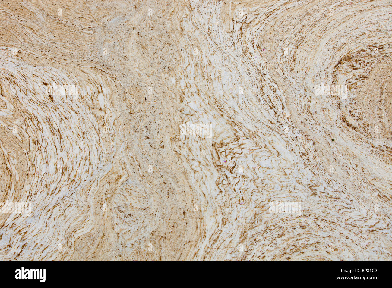 Pattern Scum Polluted water patterns hi-res stock photography and images - Alamy