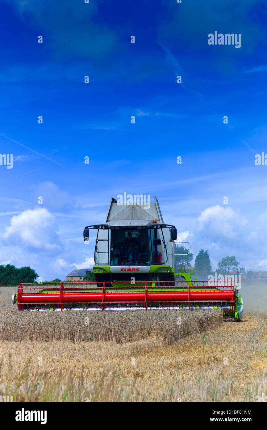 A Combine Harvester harvesting  a field of wheat Stock Photo