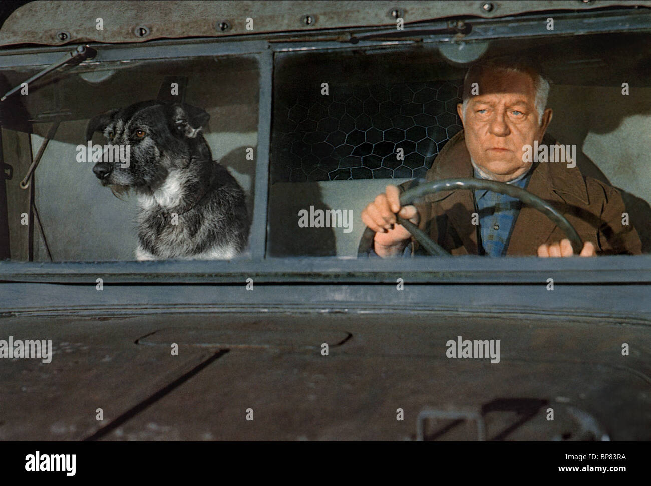 La Horse Dog Jean Gabin 1970 High Resolution Stock Photography and